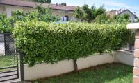 agenziainternazionale it grande-residence-idea-vacanze-int-4-i80 009